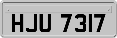 HJU7317
