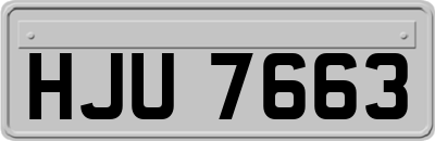HJU7663