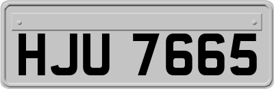 HJU7665