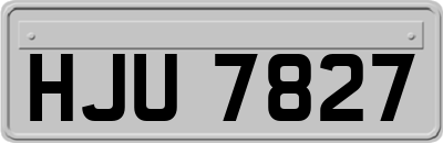HJU7827