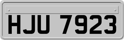 HJU7923