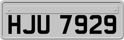 HJU7929