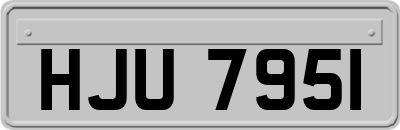 HJU7951