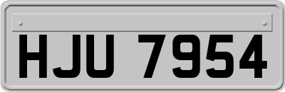 HJU7954