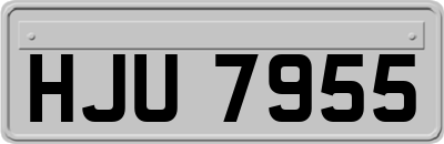 HJU7955