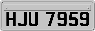 HJU7959