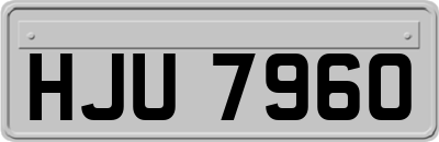 HJU7960