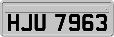 HJU7963