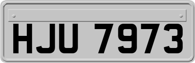 HJU7973