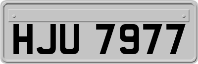 HJU7977