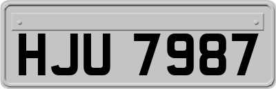 HJU7987