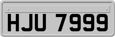 HJU7999