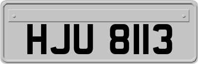 HJU8113
