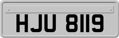 HJU8119