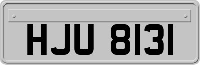 HJU8131