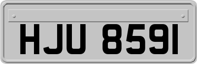 HJU8591