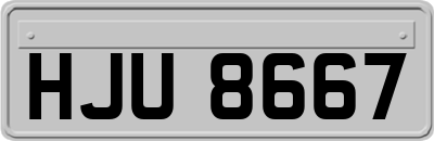 HJU8667