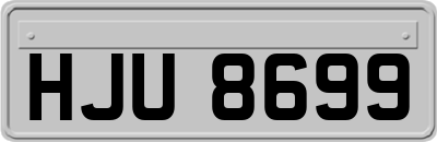 HJU8699