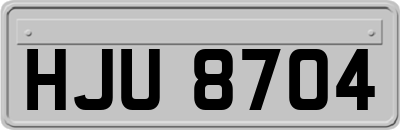 HJU8704