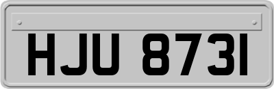 HJU8731