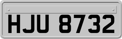 HJU8732