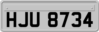 HJU8734