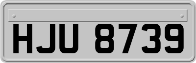 HJU8739