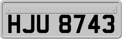 HJU8743