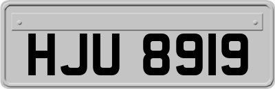HJU8919