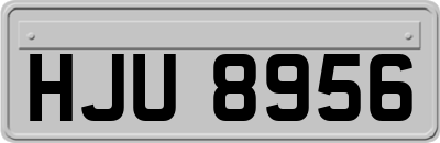 HJU8956
