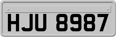 HJU8987