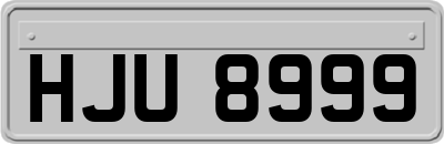 HJU8999