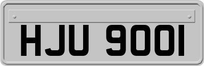 HJU9001
