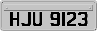 HJU9123