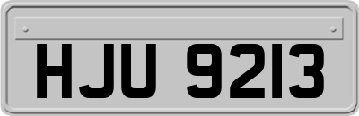 HJU9213