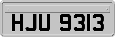 HJU9313