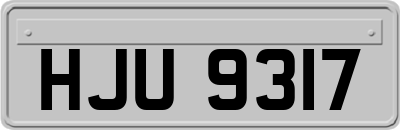 HJU9317