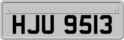 HJU9513