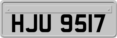 HJU9517