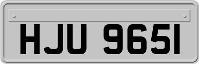 HJU9651