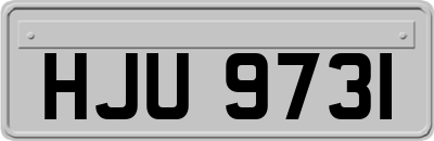 HJU9731