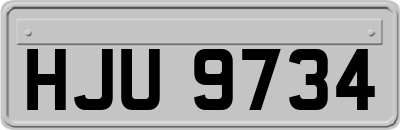 HJU9734