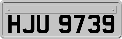 HJU9739