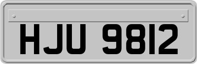 HJU9812