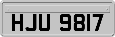 HJU9817