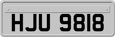 HJU9818