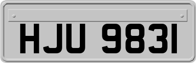 HJU9831