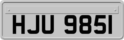 HJU9851