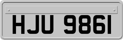 HJU9861