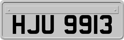 HJU9913